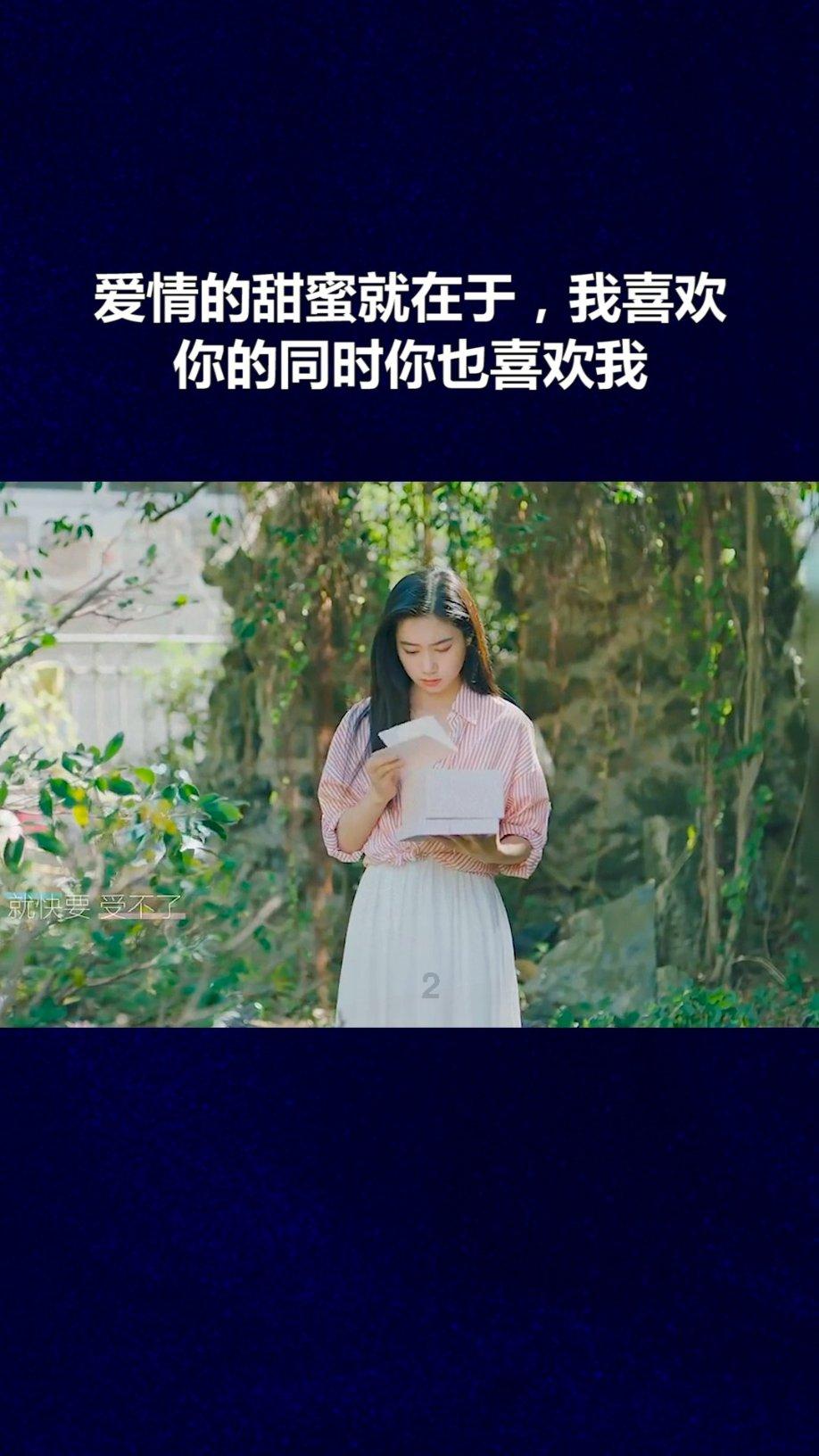 未知的岛屿